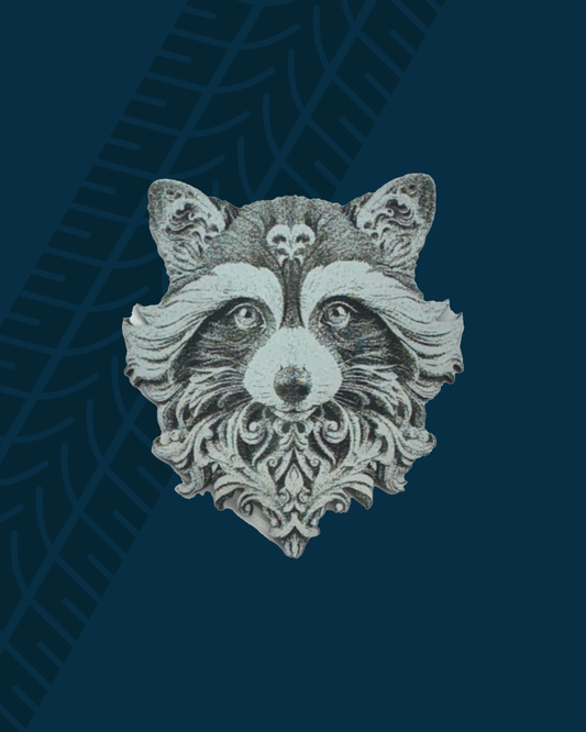 Trackside Trouble Patch - Fancy Raccoon Holographic/Black